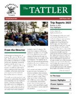 2025 Fall – Tattler